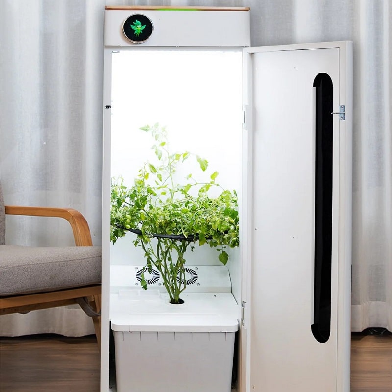 Top Indoor Growing Systems