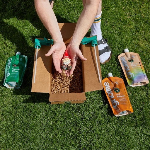 Organic Lawn Care Services
