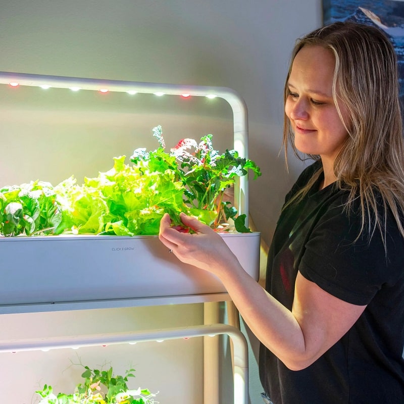 Benefits of Indoor Gardening